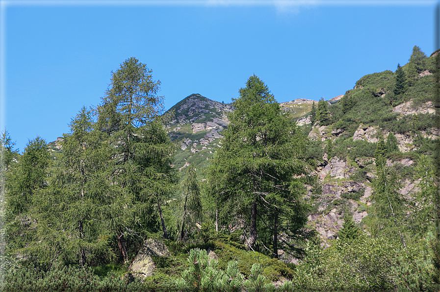 foto Forcella Magna